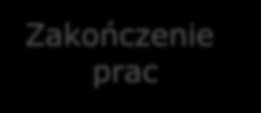 Raport Consensus Report (może być zdalny) Raport Panelowy Panel