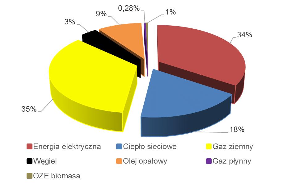 Płocka, Miejskie Jednostki Organizacyjne, spółki gminne (użytkowanie paliw i energii elektrycznej, zagospodarowanie odpadów) g) komunalne rozproszone źródła produkcji ciepła i energii elektrycznej.