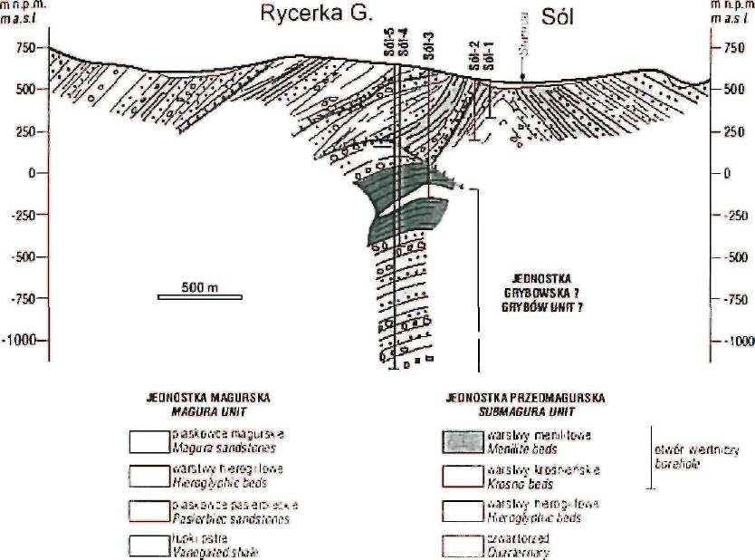 Jednostka magurska Jednostka podmagurska Ryc. 6.3.1. Przekrój geologiczny przez rejon Soli (wg. W. Ryłko i in.