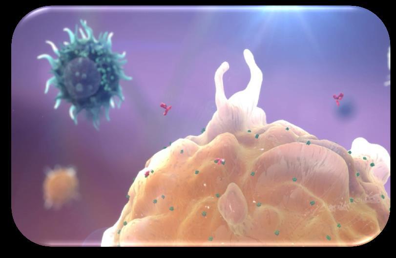 Receptor CD20 jest celem leków stosowanych w leczeniu nowotworów B-komórkowych Ekspresja CD20 w około 95% nowotworów B-komórkowych 3