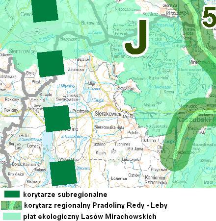 Green Key Ryc. 17. Przebieg korytarza ekologicznego przez teren Gminy Sierakowice Źródło: geoserwis.gdos.gov.pl/mapy 4.11.2.1. Natura 2000 5 Obszarami NATURA 2000 na terenie Gminy Sierakowice są następujące obszary: Obszar o znaczeniu dla Wspólnoty tzw.