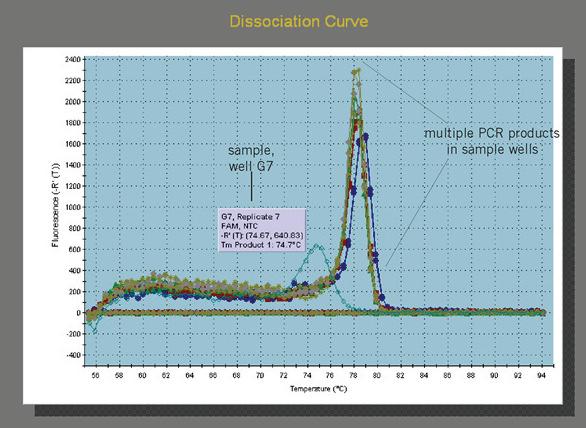 Rycina 3. Schemat przedstawiający zmiany temperatury w przebiegu reakcji qpcr oraz odpowiadające im etapy reakcji. Reakcję qpcr, podobnie jak standardową technikę PCR, można podzielić na 3 etapy: 1.