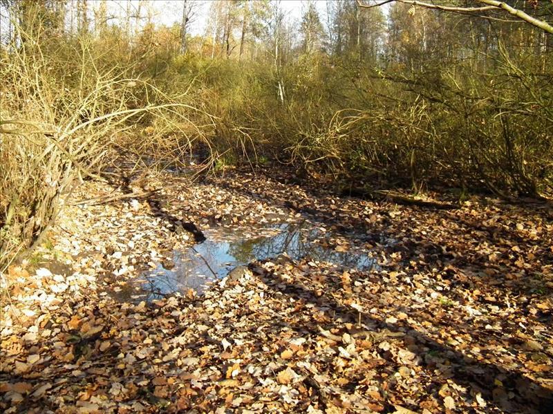 Dziennik Urzędowy Województwa Łódzkiego 8 Poz.