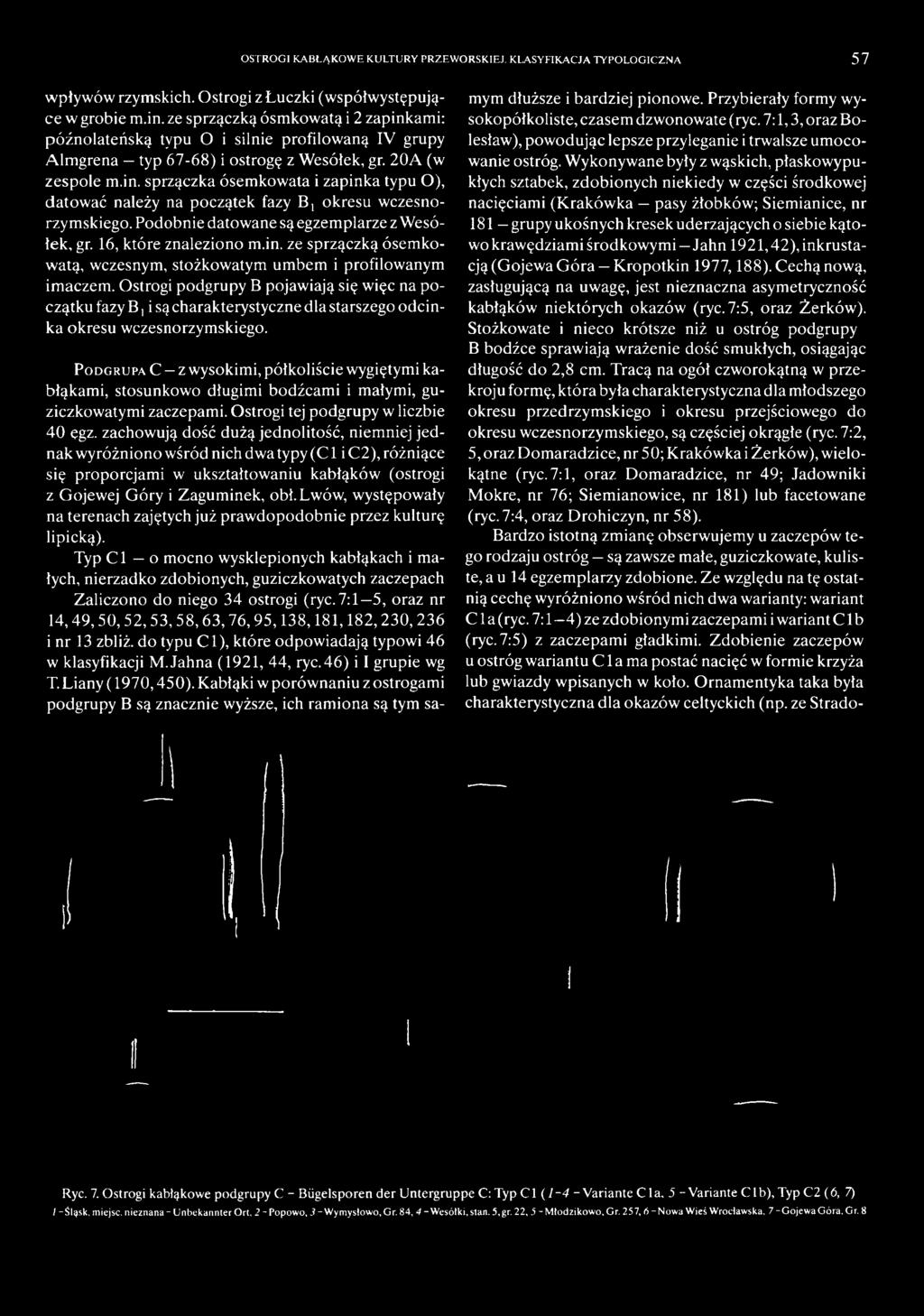 P o d g r u p a C z wysokimi, półkoliście wygiętymi kabłąkami, stosunkowo długimi bodźcam i i małymi, guziczkowatymi zaczepami. Ostrogi tej podgrupy w liczbie 40 ęgz.