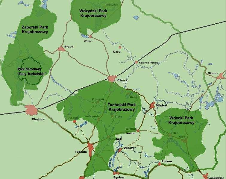 Bory Tucholskie jeden z największych w Polsce kompleksów leśnych.