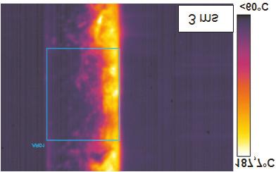 FLIR dla