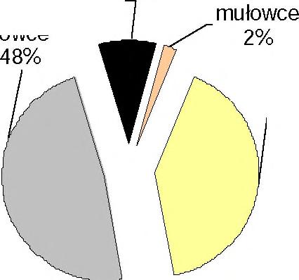 Jest to seria utworów iłowcowych, wśród których występują piaskowce, których udział wynosi od 1 0 do 30% oraz cienkie i bardzo zmienne pokłady węgla.