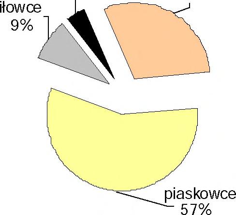 Stanowią one nadkład karbonu górnego, który jest reprezentowany przez warstwy od rudzkich po brzeżne.