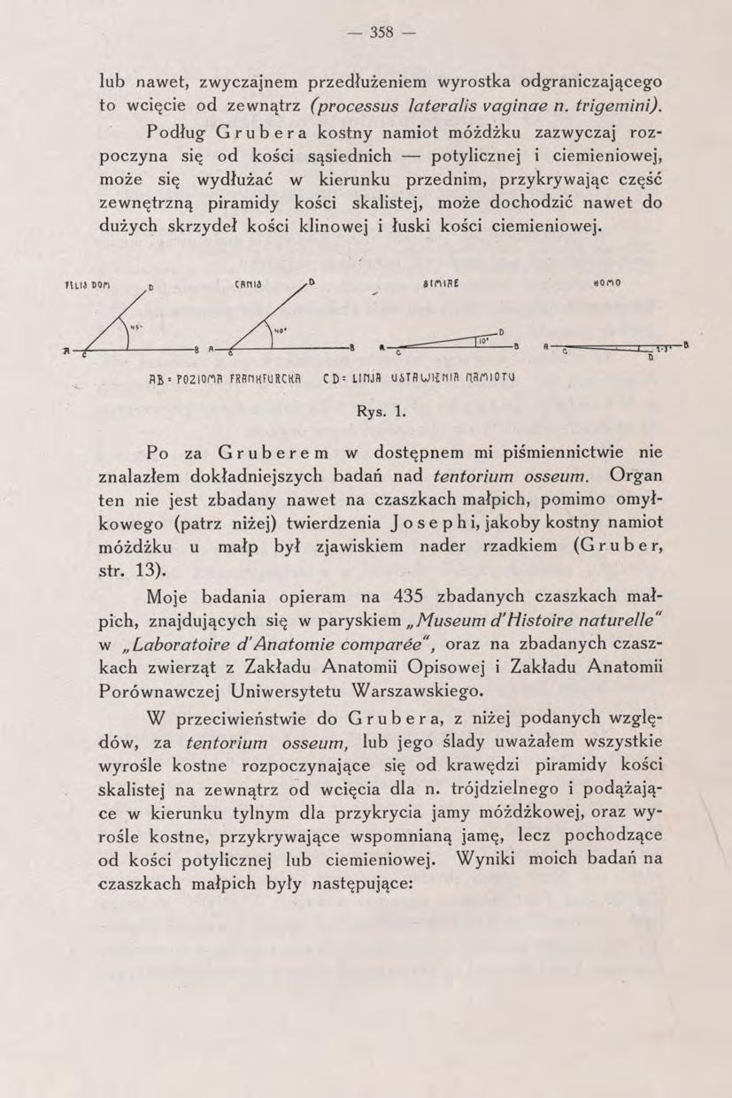 - 358 - lui) nawet, zwyczajnem przedłużeniem wyrostka odgraniczającego to wcięcie od zewnątrz (processus lateralis vaginae n. trigemini).