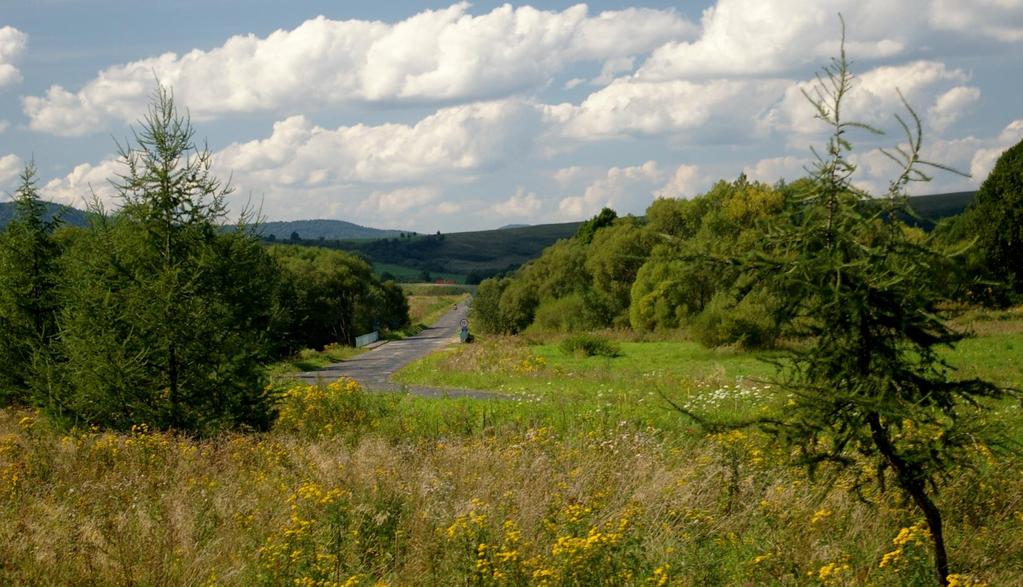 Terminarz 15.06.2015r. zamknięcie rekrutacji zastępów na zlot i wpłata I raty składki zadaniowej od zastępów 1.07.2015r. termin złożenia do biura chorągwi plakatów stanowiących zadanie przedzlotowe 15.