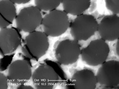 powierzchni. Obserwowane niekorzystne zjawisko wykazała przeprowadzona analiza struktury na granicy rozdziału włókno węglowe-osnowa (rys.