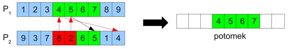 Krzyżowanie z częściowym odwzorowaniem PMX (patrially-mapped crossover ) Wybierz losowo dwa punkty krzyżowania. Skopiuj wybrany segment z rodzica P1.