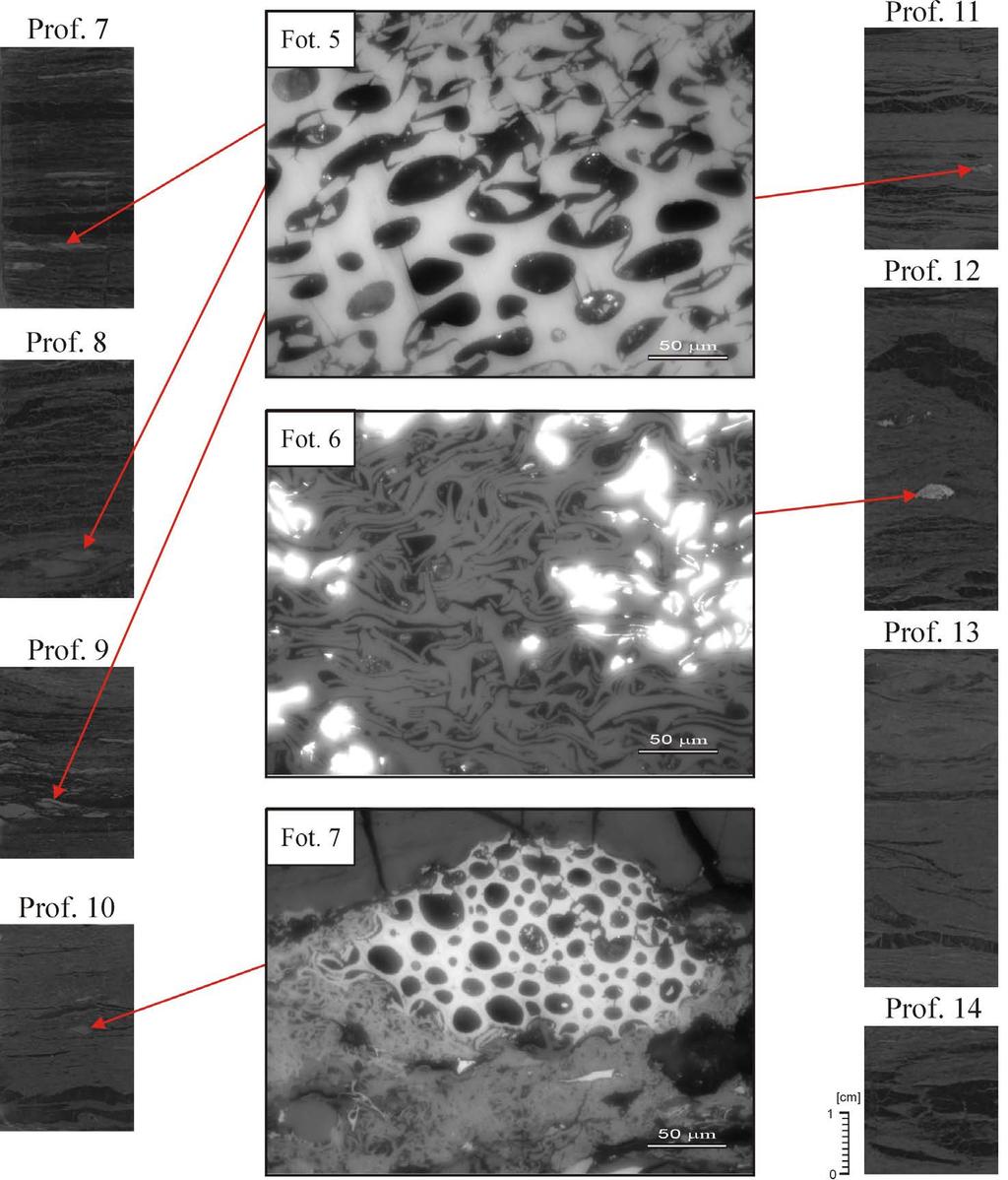 Misiak 2017 / Gospodarka Surowcami Mineralnymi Mineral Resources Management 33(3), 109 120 115 Fig. 3. Skład petrograficzny litotypów (fot. 5 7) ich cechy strukturalne (Prof. 7 14) Fig. 3. Petrographic composition in lithotypes Fot 5 7 and their structural features (Prof.