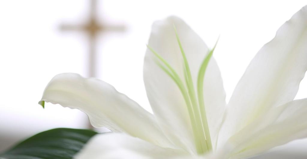 .. Church WEDNESDAY, February 3 3:15 Girl Scouts... SC2 6:45 Peace Prayer Service... Chapel THURSDAY, February 4 7:00 Sacred Heart Prayer Service... Chapel 7:00 RCIA (RE).