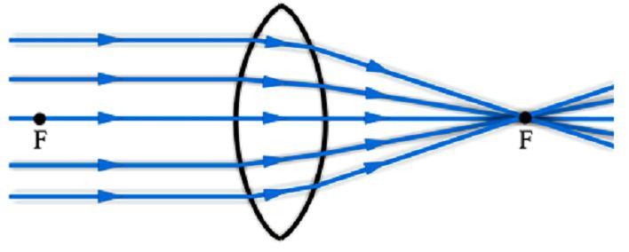 Soczewki wypukłe (skupiające) mają tę własność, że równoległa wiązka światła przechodząc przez soczewkę, skupia się w jednym punkcie za soczewką zwanym ogniskiem (F).