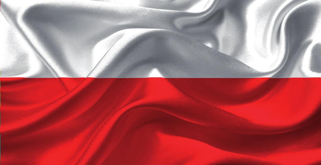 zrozumienie różnic między nacjonalizmem a patriotyzmem; zdobycie wiedzy na temat tego, czym jest współczesny patriotyzm i jak dziś można go manifestować; rozbudzenie i kształtowanie poczucia miłości