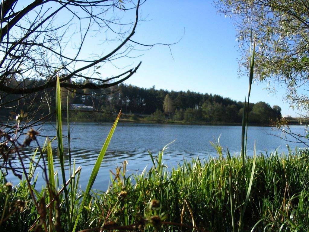 Jezioro Osowskie widok ogólny Fot. J. Nowacki Jezioro Wysockie widok ogólny Jakość wód w zbiornikach podobnie jak morskich wód przybrzeżnych była oceniana pod kątem przydatności do kąpieli.
