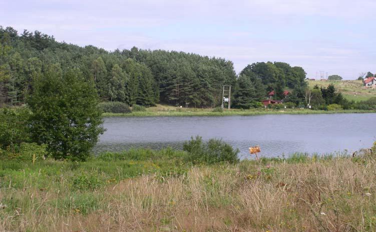 Wody zbiorników śródlądowych spełniały wymagania Rozporządzenia pod względem przydatności do kąpieli w odniesieniu do wskaźników bakteriologicznych, poza punktami C4 i C8 (niewielkie niespełnienie