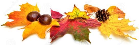 Już jesienna pora, już skaczą żołędzie Jarzębina sznur dziś czerwony ma Jesienny czas, moc kolorów jest wszędzie Jesienią śpiewamy cza cza Ref.