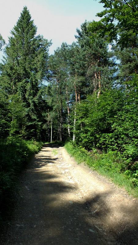 widokowa na halę "Na Beskidzie" 863 m 