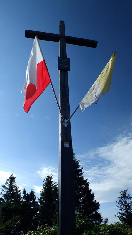 Podążając za czarnymi znakami wchodzimy w las.