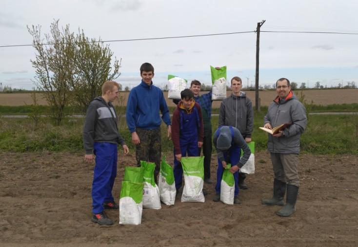 kukurydzy otrzymanych z firmy FarmSaat.