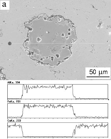 Microstructure of Cu+Cu-Al-Fe-phases composite after double etching Podkreślając, Ŝe wiodącym celem przyświecającym niniejszej pracy było uzyskanie