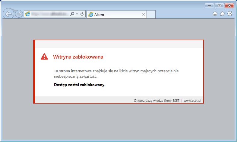 4.2.1 Ochrona dostępu do stron internetowych Zapewnianie połączenia z Internetem jest standardową funkcją komputera osobistego.