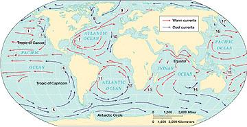 Cyrkulacja węgla w oceanie Zdecydowana większość węgla w oceanie występuje w formie nieorganicznej DIC (95%).