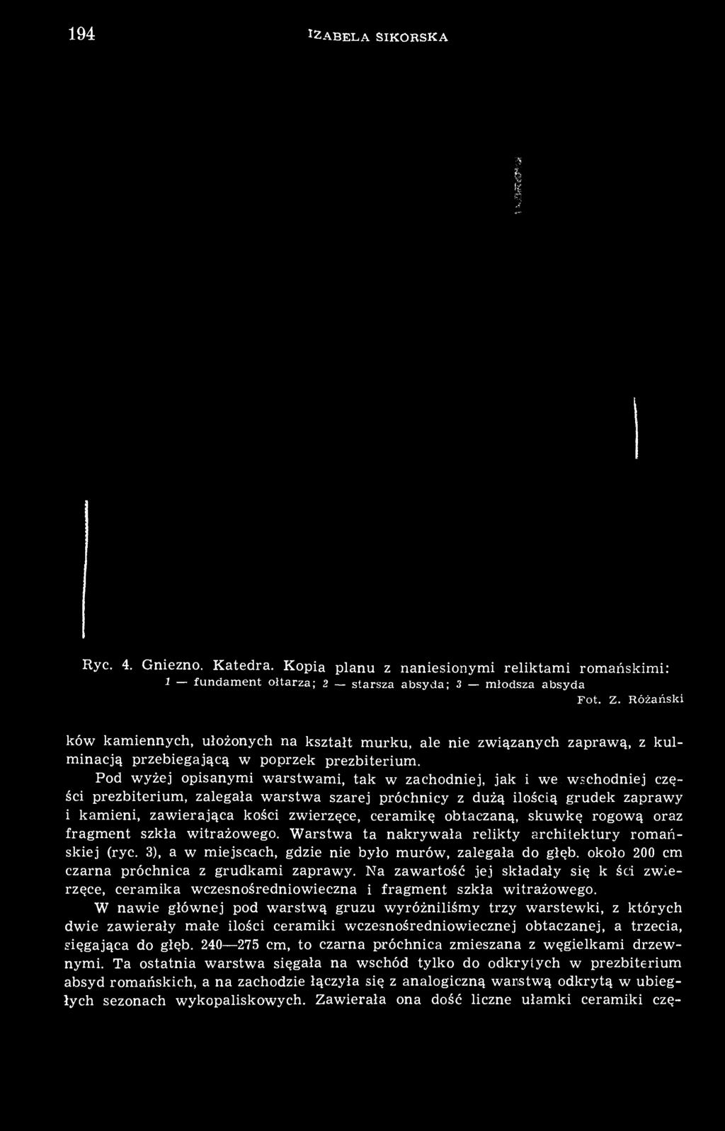 Pod wyżej opisanymi warstwami, tak w zachodniej, jak i we wschodniej części prezbiterium, zalegała warstwa szarej próchnicy z dużą ilością grudek zaprawy i kamieni, zawierająca kości zwierzęce,