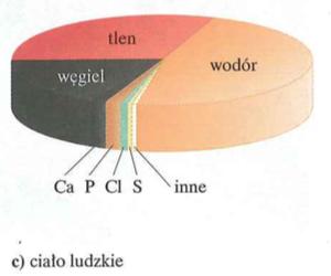 Względne rozpowszechnienie głównych