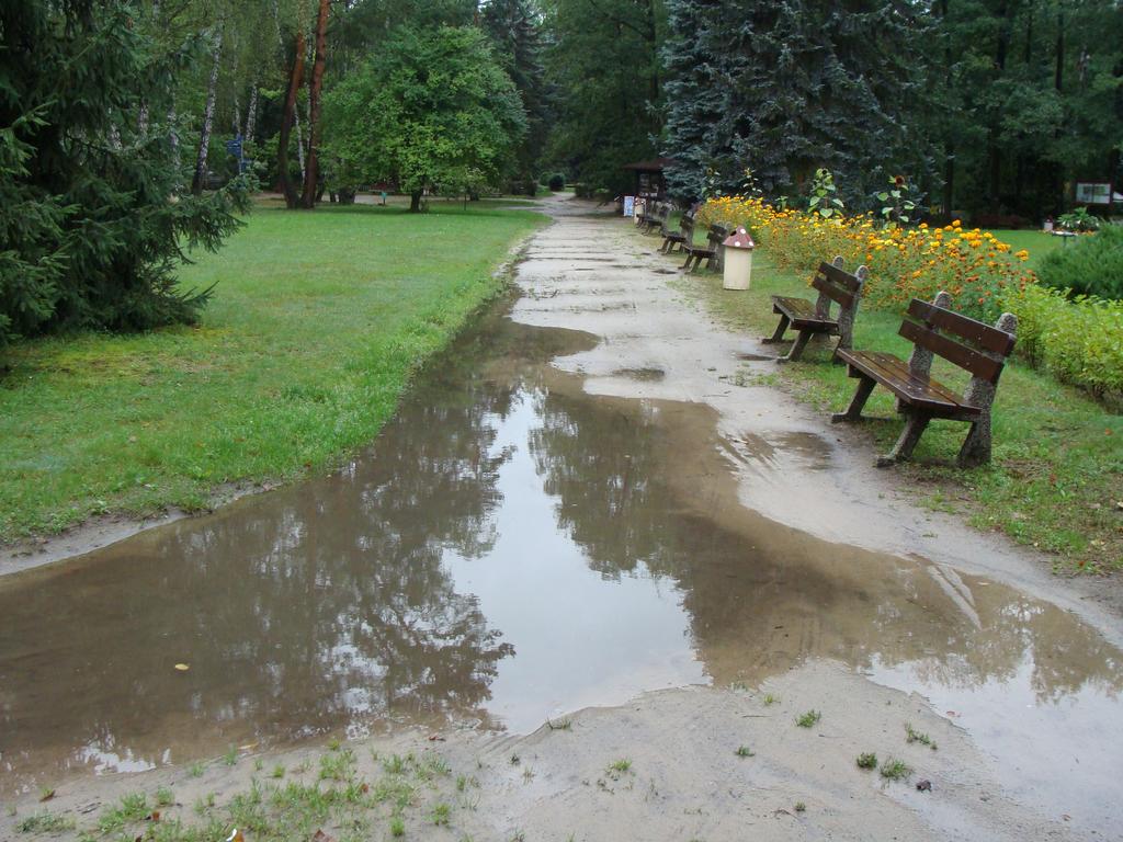 W związku z zamiarem przygotowania projektu przebudowy wokół basenu ogrodzenie należy przeznaczyć do rozbiórki.
