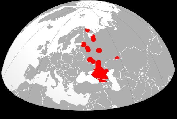 Występowanie ASF Sytuacja w Federacji Rosyjskiej Liczba ognisk w roku: 2011