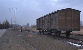 przewożono ok. 75% bezpośrednio do komór gazowych na terenie obozu. Pozostałych "gnano" do Birkenau lub Auschwitz, gdzie skazani byli na morderczą pracę. W 1944 r.