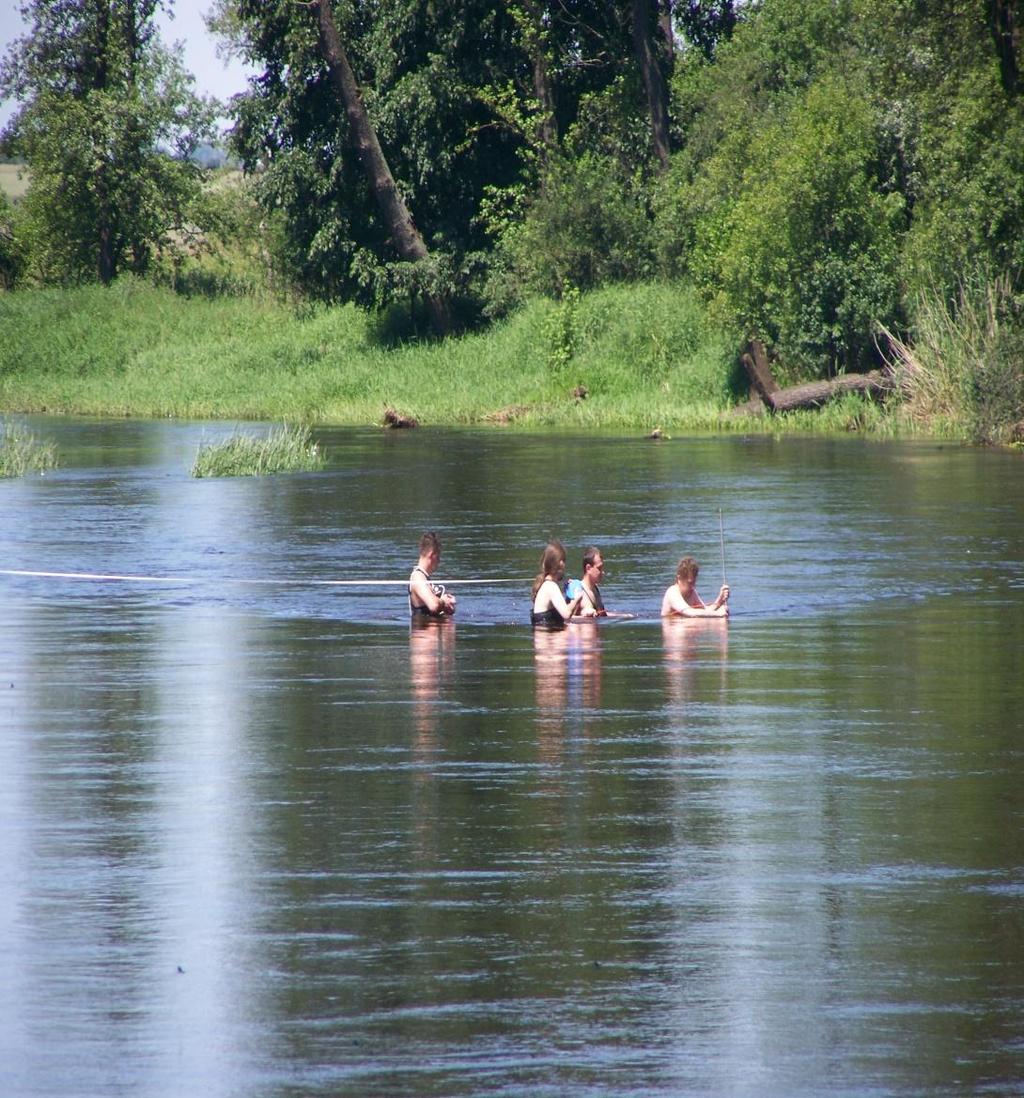 5. Wyniki badań 5.