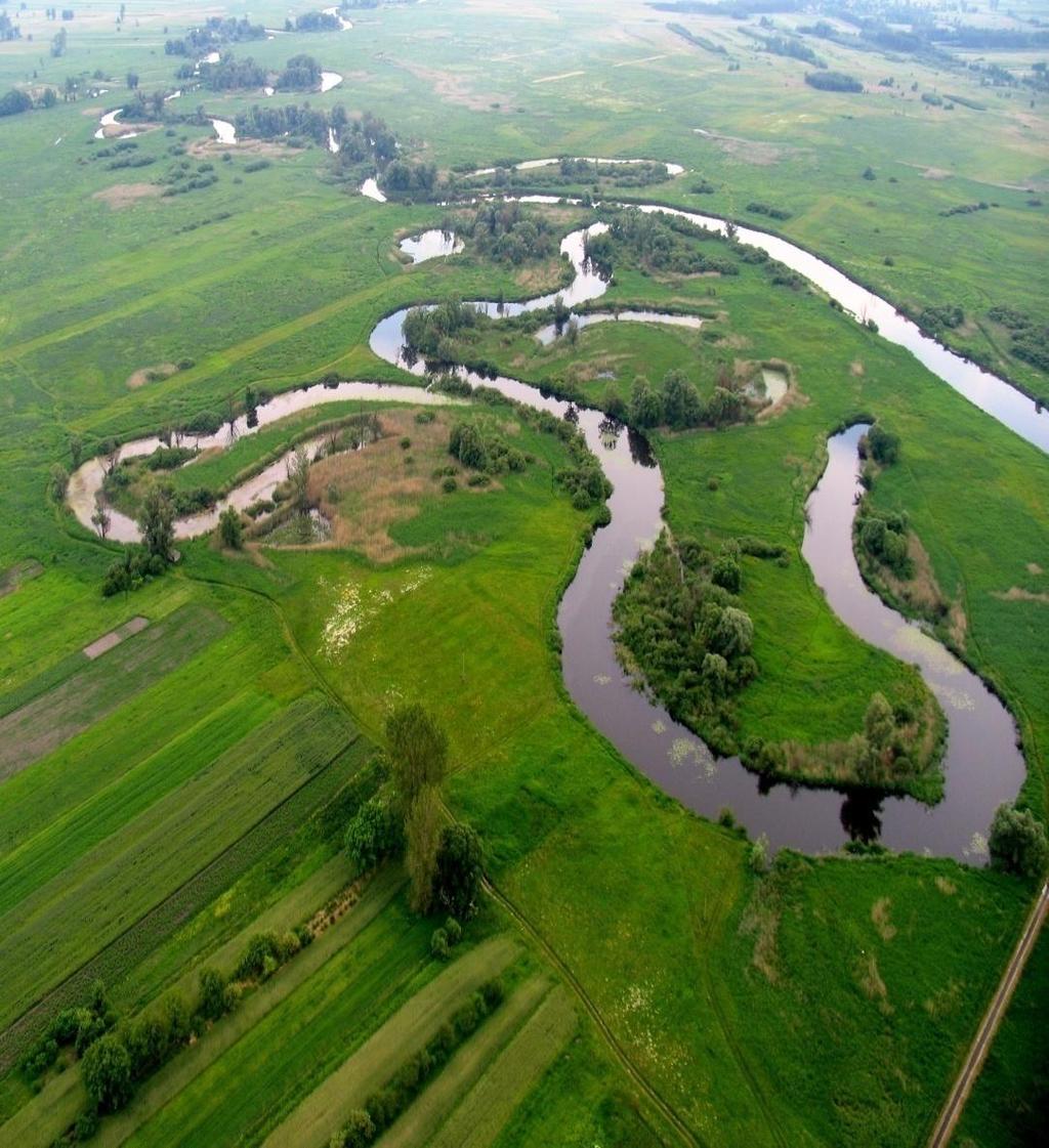 4. Lokalizacja W rejonie rzeki zaobserwowano tarasowane zbocza, starorzecza oraz meandry.