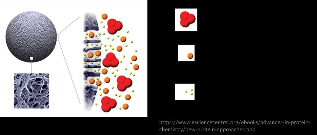 Rys. 2. Schemat przedstawiający wnikanie makromolekuł w pory żelu, w zależności od ich wielkości Rys. 3. A) Schemat przedstawiający kolumnę chromatograficzną z upakowanym złożem.