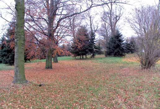 2.2.3. Park krajobrazowy Park krajobrazowy o pow. 1,73 ha z II połowy XIX wieku, został mocno zdewastowany.