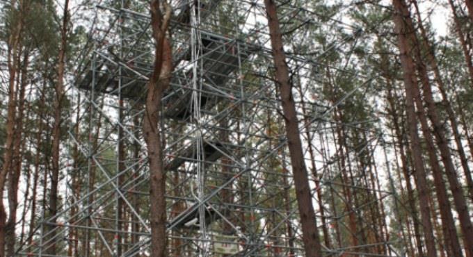 Wybrane zagadnienia w ramach dyskusji (2) Ilość dwutlenku węgla wydzielanego w czasie spalania drewna jest równa ilości tego gazu przyswajanego w procesie wzrostu rośliny.