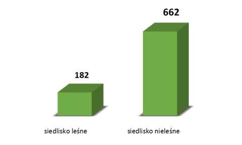 Sumak octowiec + + + Rdestowiec sp.