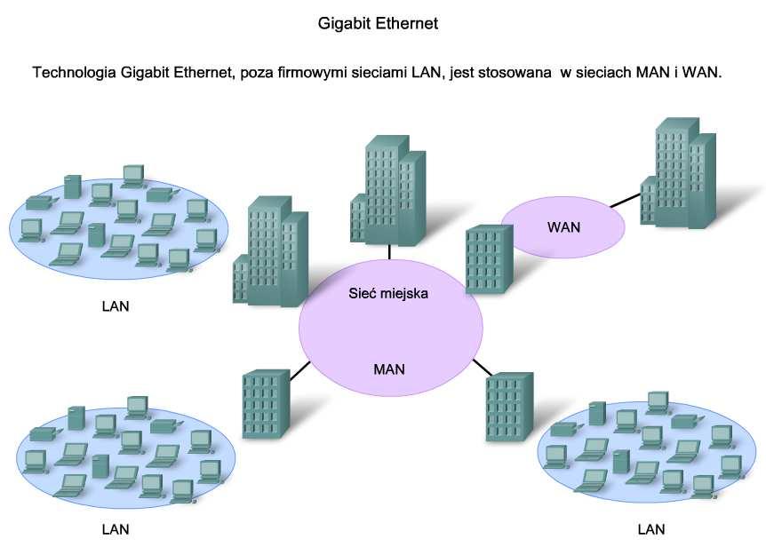 topography 9 Charakterystyka mediów w sieci Ethernet Zidentyfikuj właściwości