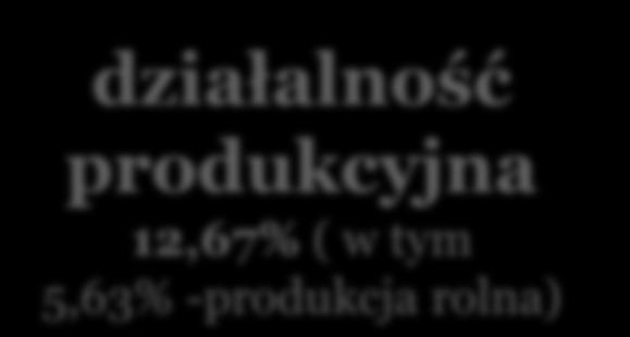 działalność usługowa 50,77% działalność handlowa 43,66% działalność produkcyjna 12,67% ( w tym 5,63% -produkcja rolna) Struktura odpowiedzi ankietowanych kobiet ze względu na