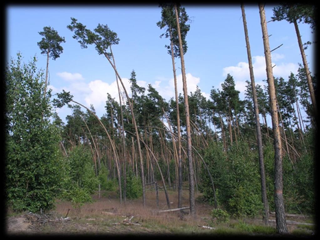 AKTUALNE PROBLEMY OCHRONY