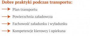 .pl https://www..pl Dobre praktyki podczas transportu.