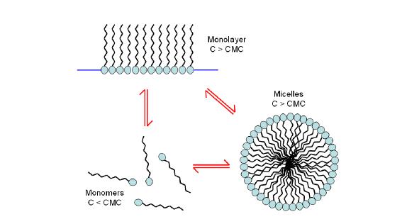 Omówienie literatury przedmiotu Monowarstwa Micela C > KSM Monomery C < KSM Rys. 13.