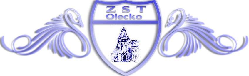 Adres strony internetowej, na której Zamawiający udostępnia Specyfikację Istotnych Warunków Zamówienia: www.zst.olecko.