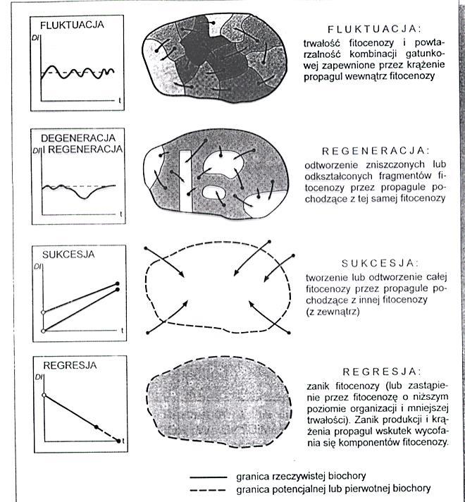 Zmiany w ekosystemie obserwowane w kilkuletnich okresach są zwykle
