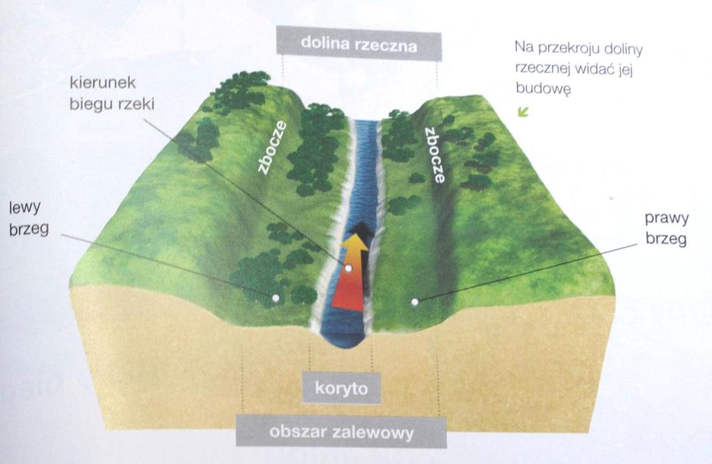 Nawet w podręcznikach przyrody wzorcem rzeki jest ciek pozbawiony naturalnej hydromorfologii