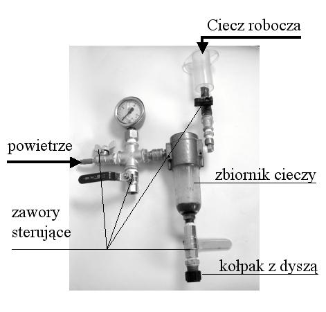 Ocena przeżywalności.