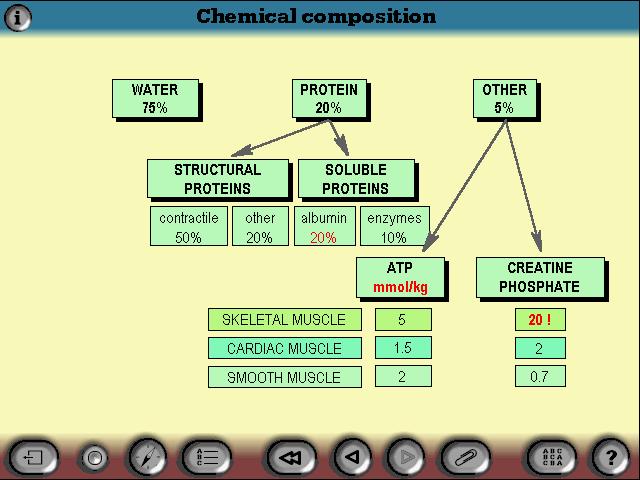 SKŁAD CHEMICZNY MIĘŚNIA Skład chemiczny mięśni Woda 75% Białko 20% Inne 5% Białka strukturalne - kurczliwe 50% -inne 20%